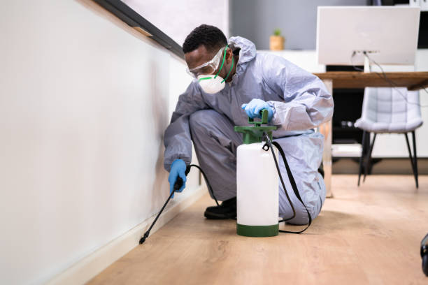 Real Estate Pest Inspections in Newton, IL